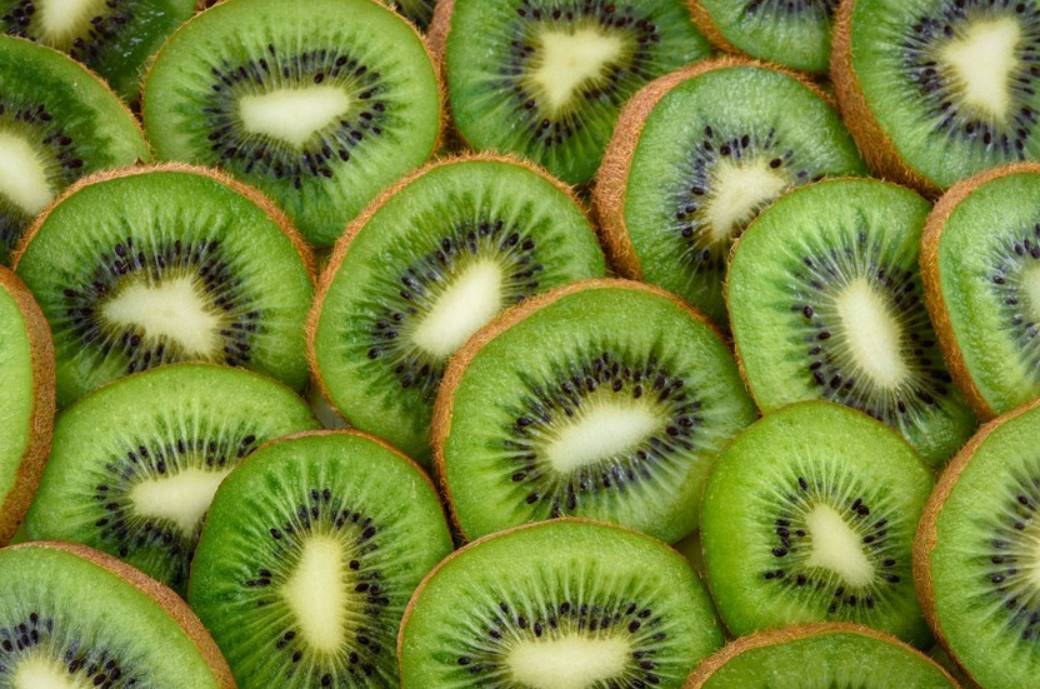 dream of Kiwi