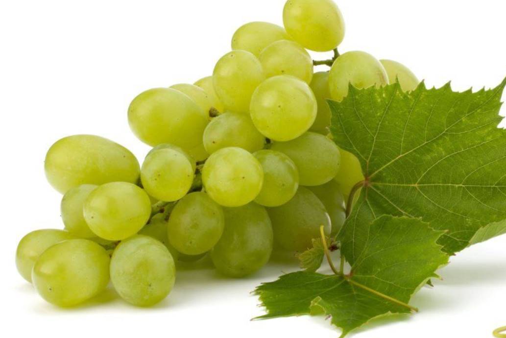 dream of grapes